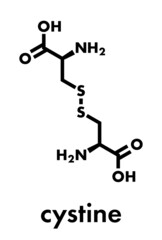 Cystine molecule. Oxidized dimer of the amino acid cysteine. Skeletal formula.