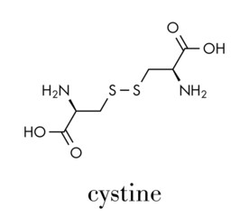 Cystine molecule. Oxidized dimer of the amino acid cysteine. Skeletal formula.