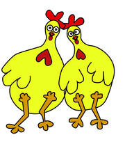 2 Yellow chicken hug in couple. designing in editable vector for illustration