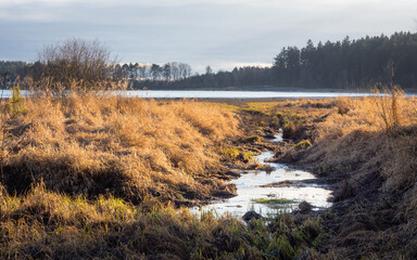  Autumn hiking and discovering the marshland of Heidenreichsteiner Moor Nature Park, Lower Austria, Austria