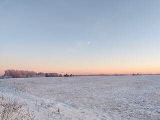 Snow covered plants and tree branches. Winter rural  natural landscape.