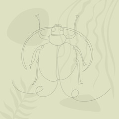 beetle, insect drawing by line, on an abstract background, vector