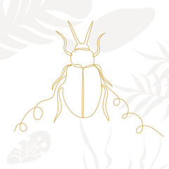 beetle, insect drawing by line, on abstract white background, vector, isolated