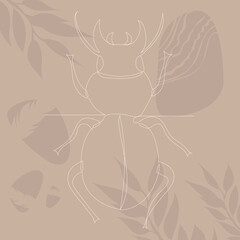 beetle, insect drawing by line, on abstract brown background