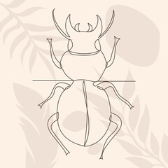 beetle, insect drawing by line, on abstract brown background, vector, isolated