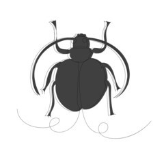 beetle, sketch, contour line, vector, isolated