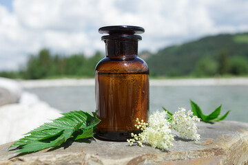 Elderberry leaves and flowers, medical bottle. Natural background, colors. Daylight. Front shot.