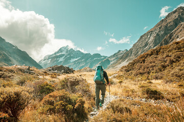 Fototapeta premium Hike in New Zealand