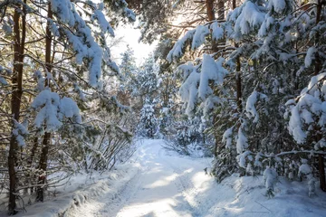 Tragetasche Winter forest © Galyna Andrushko