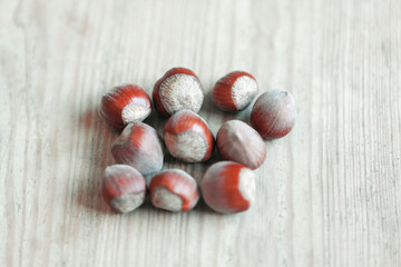 Hazelnuts at wooden background . Fruit of the hazel tree . Nuts of Corylus Avellana