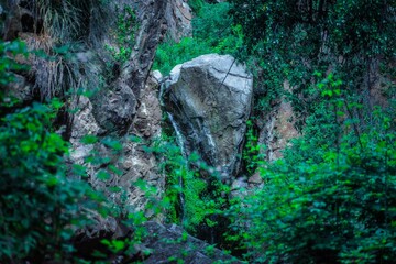 cascada entre roca gigante en un barranco de la jungla