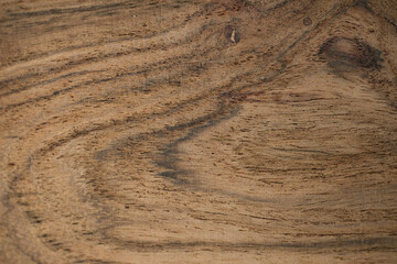 Close-up of the structure of a wooden shelf. Wood grain background with selective focus and copy space