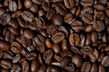 Kaffeebohnen