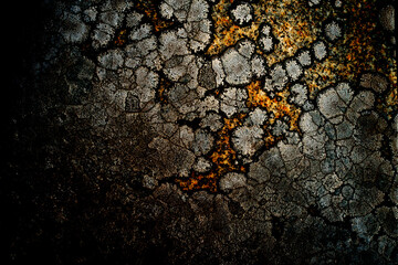 細やかな模様と色合いが美しい。