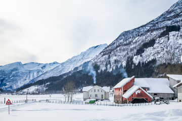 Nordic dairy farms between the snow and fjords