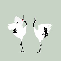 날개짓 하는 한 쌍의 학