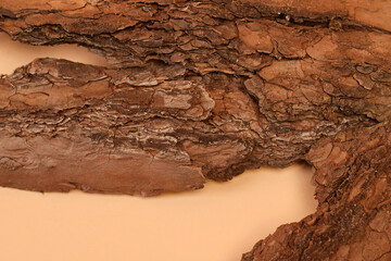 Fototapeta premium Natural stand of bark tree for presentation and exhibitions on beige pastel background. Abstract podium for organic cosmetic products. Close-up