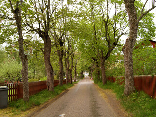 Stavsnäs, Fågelbrolandet, Värmdö, Stockholm, stockholm archipelago, sweden