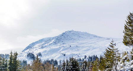 Beautiful Winter Snowy  Mountain Landscape from Bulgaria ,Vitosha  Mountain