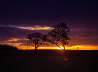 A beautiful autumn sun rising behind the oak trees in the distance. Fall scenery during the morning hours in Northern Europe.
