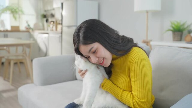 Asian woman holding and play with little cat with happiness at home.	