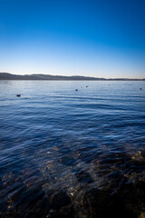 Cloudless sky over the Sempachersee. View of the lake in clear dark water in the foreground.