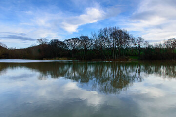 reflection of trees in the lake