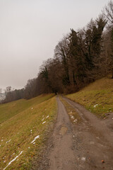 Fototapeta na wymiar Vaduz, Liechtenstein, December 14, 2021 Walkway into a green forest