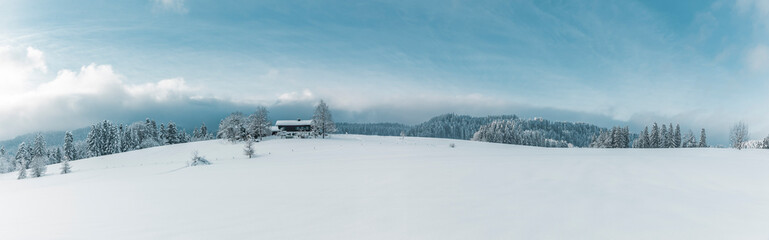 Schneelandschaft mit Wald und Bauernhäusern