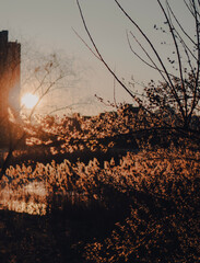 sunset over the river