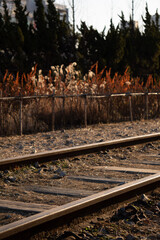 railroad tracks in the distance