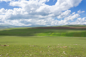 Idyllic rural view of beautiful farmland and healthy animals in a beautiful setting in Ardahan, Turkey, TR.