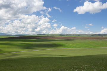 Idyllic rural view of beautiful farmland and healthy animals in a beautiful setting in Ardahan, Turkey, TR.