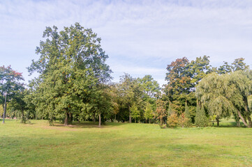 Fototapeta na wymiar Autumn view on millennium park in Chojnice, Poland.