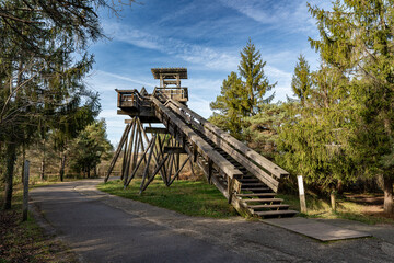 Forêt du Bourgailh, Pessac