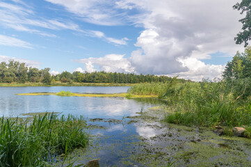 Fototapeta na wymiar Nogat river in Malbork. The Nogat is a 62 km long delta branch of the Vistula River.
