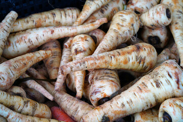 Fresh parsnips at a farmers market