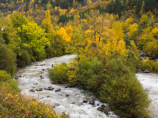 Mountain river in a misty sunrise. Amazing nature landscape with fog rolling over the trees in autumn