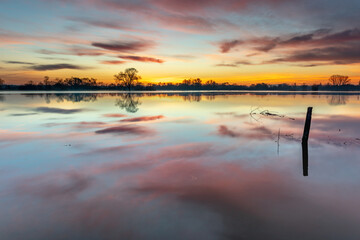 Fototapeta na wymiar Sunrise over a flooded meadow in winter. Reflection of orange and pink clouds in calm water.