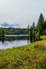 Fototapeta premium étang de la gruère, la gruère, See, Moorsee, Moor, Weiher, Hochmoor, Wanderweg, Spazierweg, Wald, Waldweg, Wasserpflanzen, Torfmoos, Jura, Naturschutz, Sommer, Herbst, Herbstfarben, Schweiz
