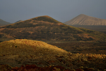 A beautiful volcanic landscape in Lanzarote early in the morning. Spain.