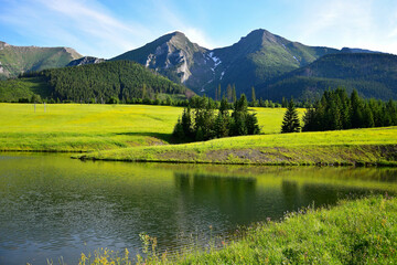 Havran and Zdiarska vidla, the two highest mountains in the Belianske Tatry. A pond and a flowery meadow in front. Slovakia.