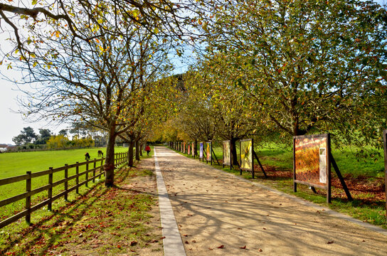 The Serralves Garden in Oporto, Portugal