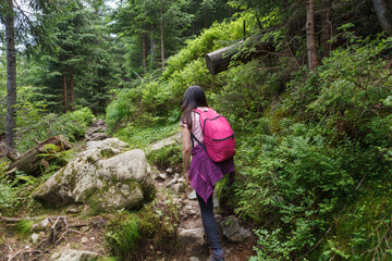 Naklejka na ściany i meble Women's hike with pink backpack in mountains. Rear view .