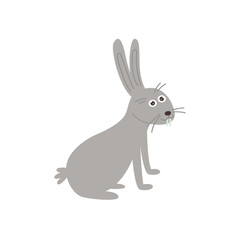 Cute gray hare