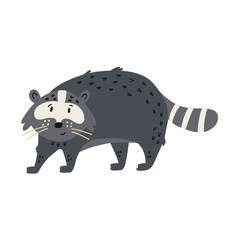 Cute Raccoon