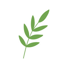 Green leaf handdrawn