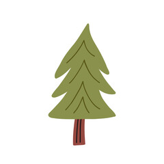 Fototapeta premium Green pine tree