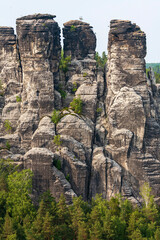 Fototapeta na wymiar Skurile Felsen im Elbsandsteingebirge der sächsischen Schweiz