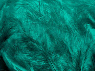 Obraz premium Beautiful abstract green feathers on black background, yellow feather texture on dark pattern, green background, feather wallpaper, love theme, valentines day, green gradient texture